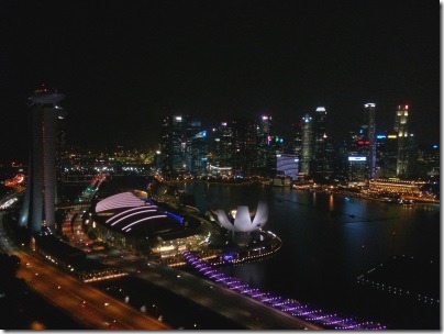 シンガポールフライヤーからの夜景